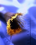 Fiber optic cable
